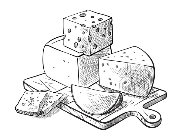 奶酪制作各种类型的奶酪套的矢量草图 — 图库矢量图片
