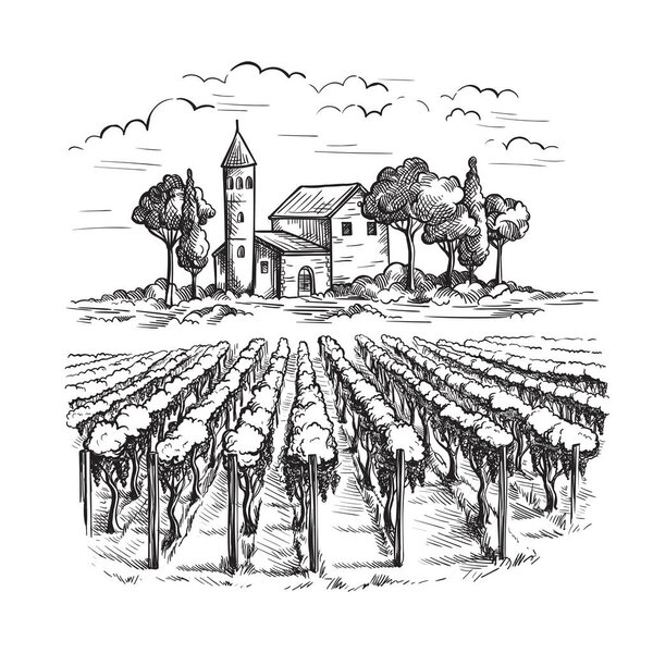 Ряды виноградников, виноградников и замков
