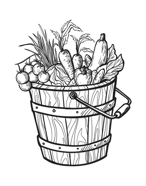 Verduras frescas en caja. ilustración dibujada a mano . — Vector de stock