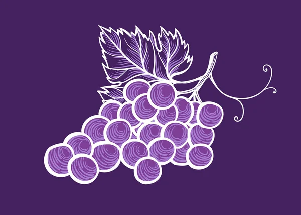 Набор монохромных набросков винограда . — стоковый вектор