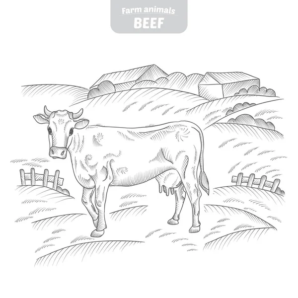 Vaca ilustración vectorial dibujada a mano . — Archivo Imágenes Vectoriales