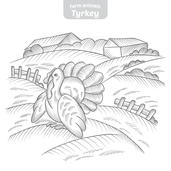 Türkei handgezeichnete Vektor-Illustration. — Stockvektor