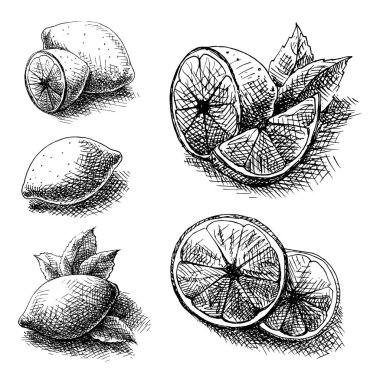 Bütün, dilimlenmiş limon