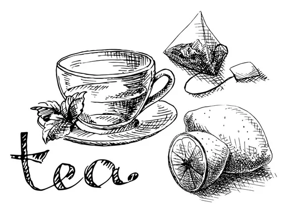 Copo, hortelã e saco de chá — Vetor de Stock