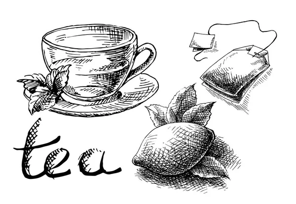 Copa, menta y bolsa de té — Vector de stock