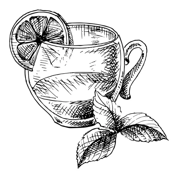 Tasse de thé et menthe — Image vectorielle