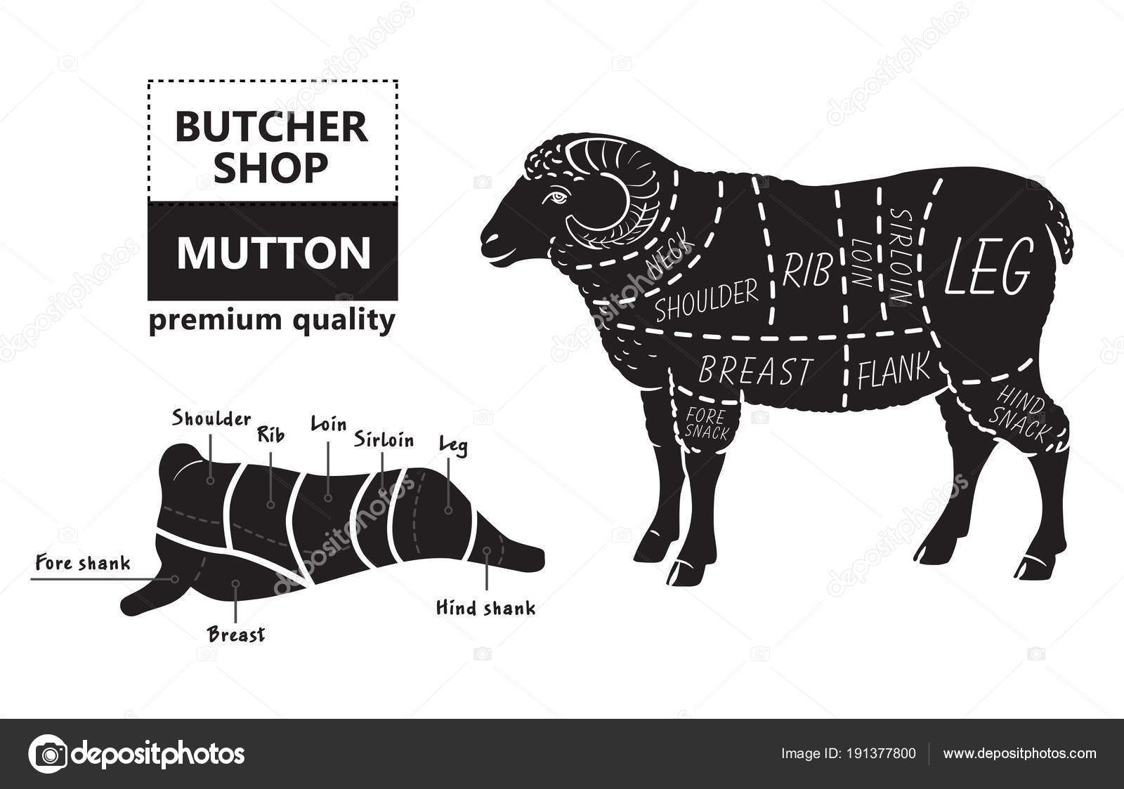 Cuts Of Mutton Chart