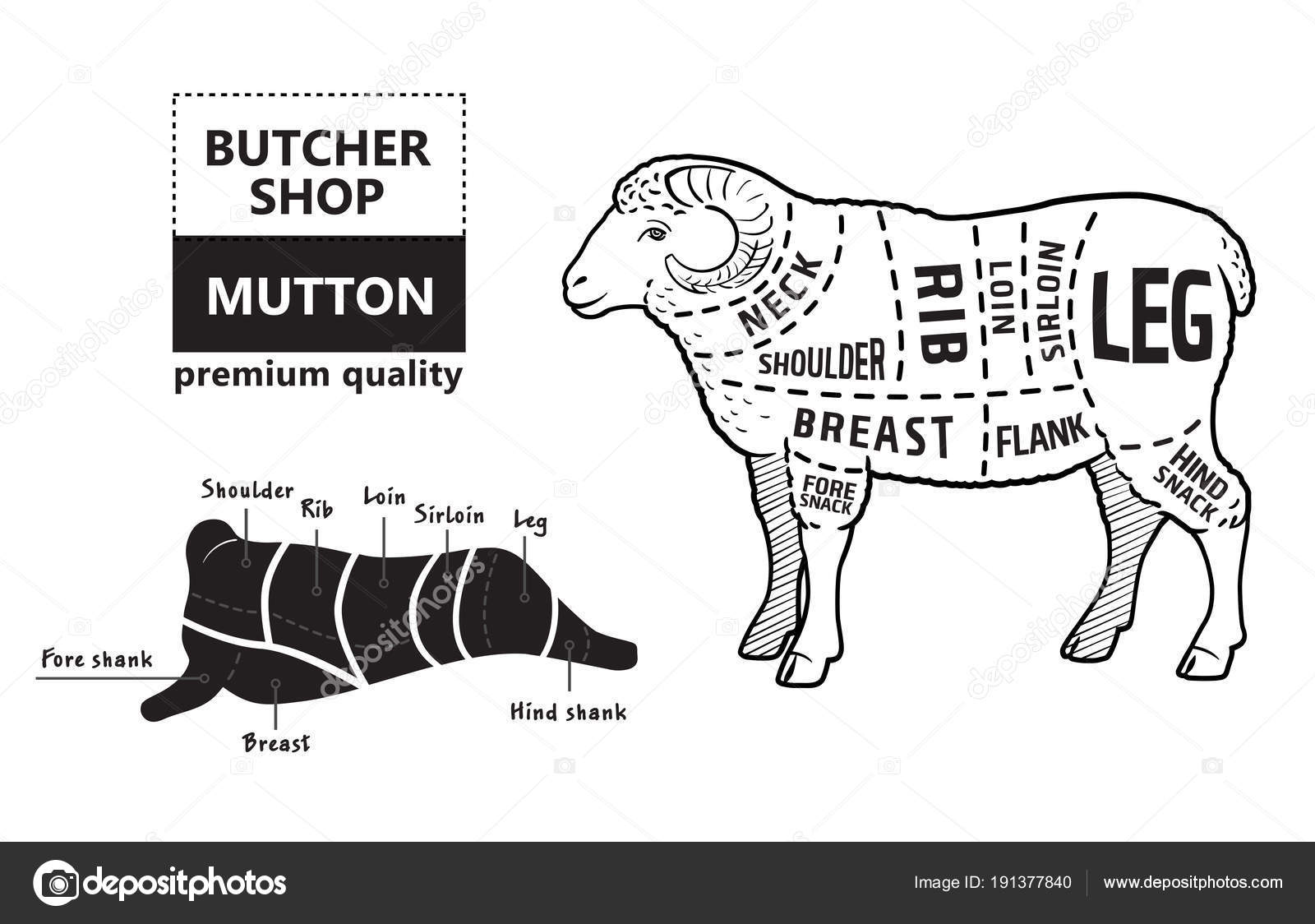 Cuts Of Mutton Chart