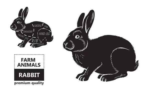 Skär av kanin. Affisch slaktare diagram för livsmedel, kött butiker, slakteributiken, farmer marknaden. Kanin siluett. Vektorillustration. — Stock vektor