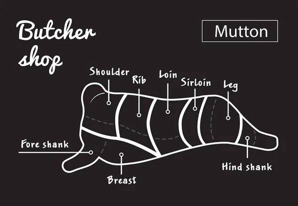 ラムやマトンはカット図です。精肉店. — ストックベクタ