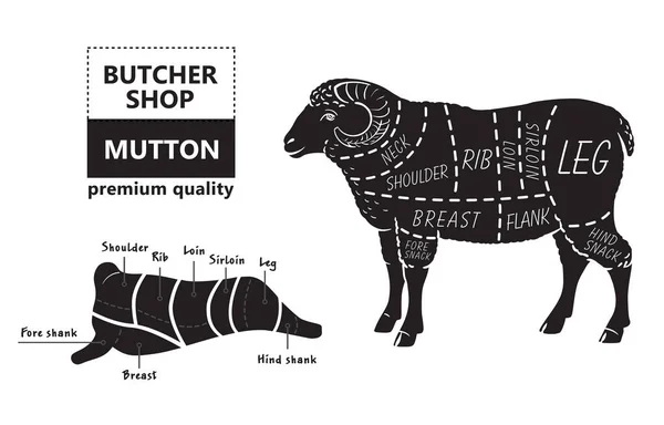 Cordeiro ou carneiro corta diagrama. Açougueiro . —  Vetores de Stock