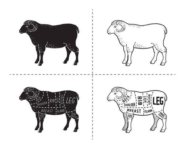 ラムやマトンはカット図です。精肉店. — ストックベクタ