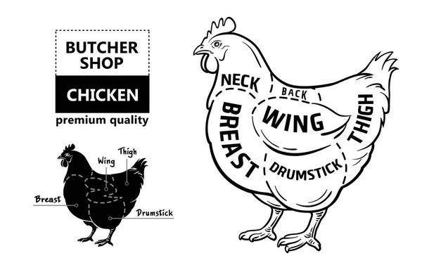 Cut of meat set. Poster Butcher diagram and scheme - Chicken. Vintage typographic hand-drawn — Stock Vector