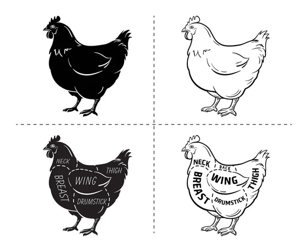 Skära av kött. Affisch slaktare diagram och system - kyckling. Vintage typografisk handritade — Stock vektor