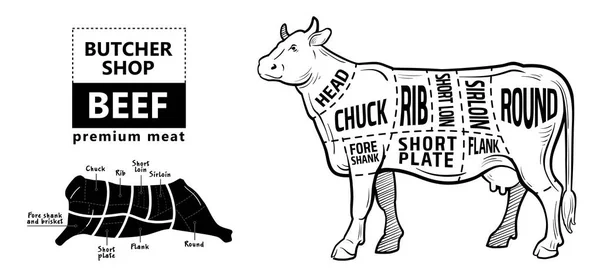 Corte de carne. Diagrama de Carniceiro - Vaca. Tipografia vintage desenhada à mão. —  Vetores de Stock