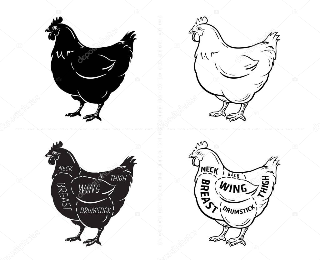 Cut of meat set. Poster Butcher diagram and scheme - Chicken. Vintage typographic hand-drawn