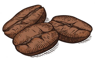 Kahve makro ile vektör arka plan. Elle çizilmiş.