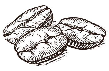 Kahve makro ile vektör arka plan. Elle çizilmiş.