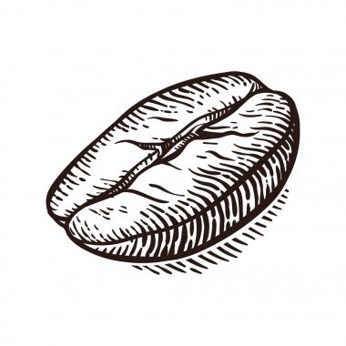 Kahve makro ile vektör arka plan. Elle çizilmiş.