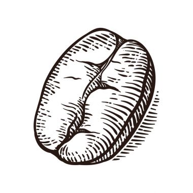 Kahve makro ile vektör arka plan. Elle çizilmiş.