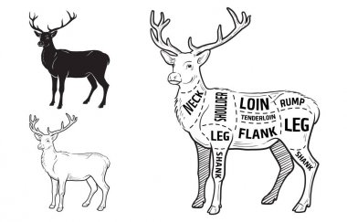 Geyik eti elemanları ve isimleri ile keser. İzole siyah beyaz arka plan üzerinde. Kasap.