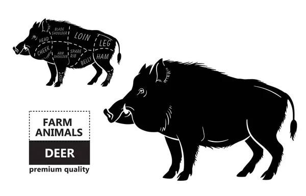 Cerda silvestre, esquema de diagrama de corte de carne de jabalí - elementos colocados en pizarra — Vector de stock