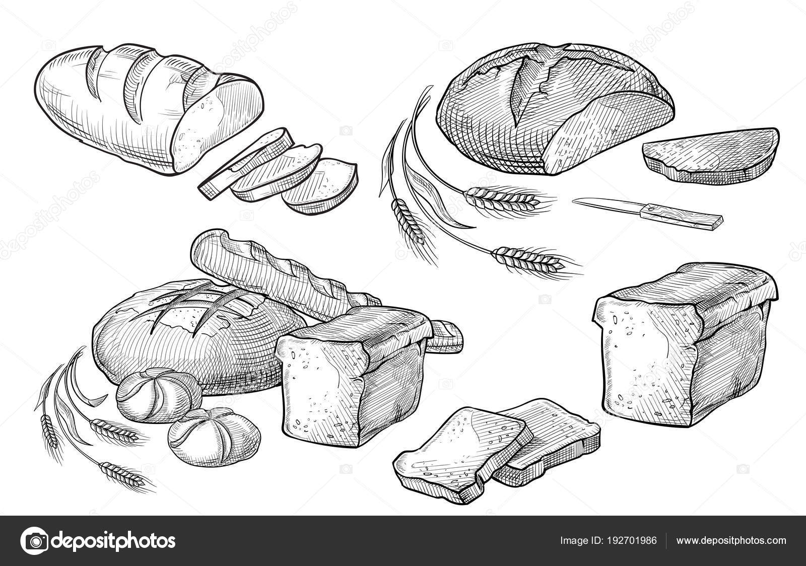 Хлеб и хлебобулочные изделия карандашом