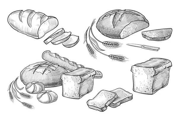 Chléb vektorové ručně kreslenou set ilustrace. Ostatní typy pšenice, mouka čerstvý chléb. Bezlepkové potraviny pekařství vyryto kolekce. Černá péct biopotravin — Stockový vektor