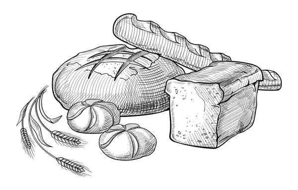 Illustration d'ensemble dessinée à la main vecteur de pain. Autres types de blé, farine pain frais. Gluten food boulangerie collection gravée. Cuire au four noir bio — Image vectorielle