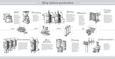 Vector beer infographics with illustrations of brewery process. clipart