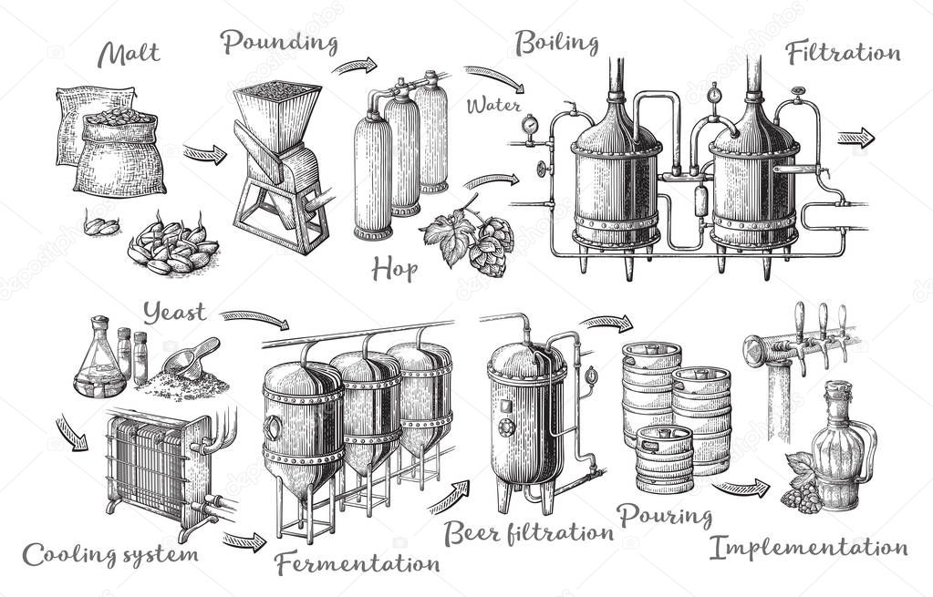 Vector beer infographics with illustrations of brewery process.