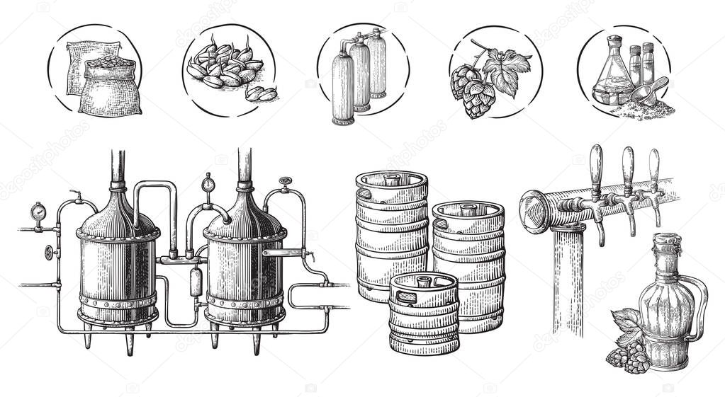 Vector beer infographics with illustrations of brewery process.