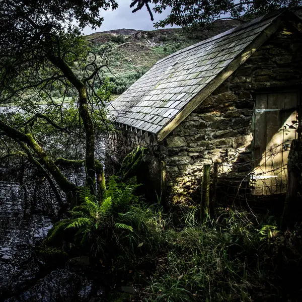 山ヒルに対する森林の家 — ストック写真