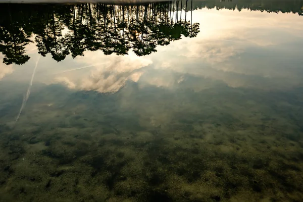 Rive du lac avec des reflets d'arbres — Photo