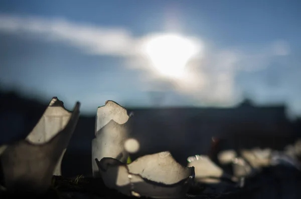 Rikkoutuneet pullot lasit heijastavat auringonsäteitä — kuvapankkivalokuva