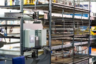 yumurta üretim hattı yumurta olmadan