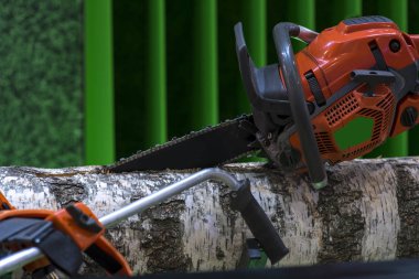 Koruyucu kılıçlı profesyonel elektrikli testere..