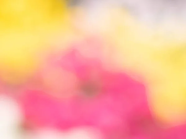 Schöne Abstrakte Farbe Verschwimmen Hintergrund Mit Platz Für Text Oder — Stockfoto