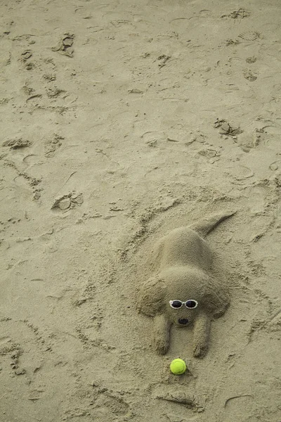 Bir köpeğin kum heykel — Stok fotoğraf
