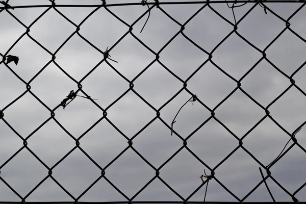 Metal wire mesh — Stock Photo, Image