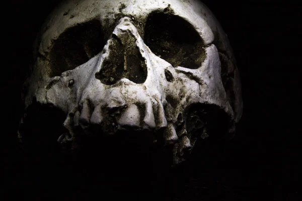 Skull on dark — Stock Photo, Image