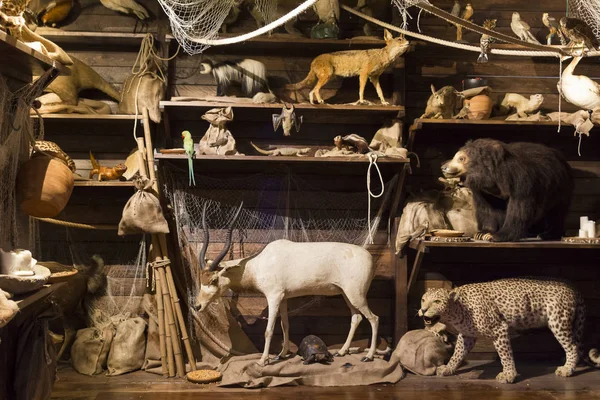 Noah's Ark dolgu hayvan hayvanlar — Stok fotoğraf