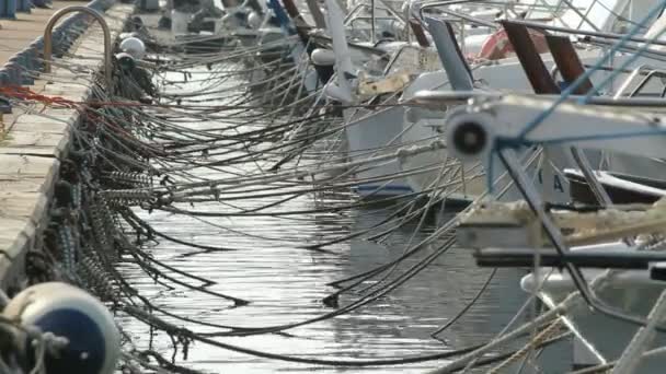 Boote im Hafen — Stockvideo