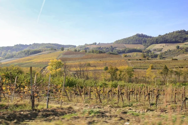 Krajobraz włoskich winnic — Zdjęcie stockowe
