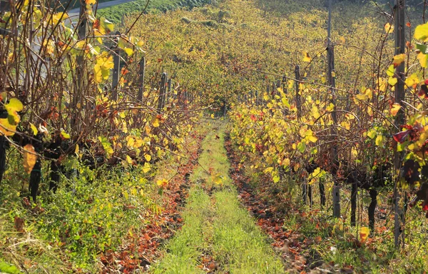 Italienska bergslandskap — Stockfoto