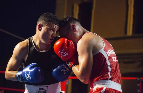 Combattimento pugilato amatoriale in azione — Foto Stock