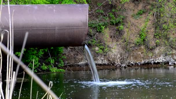 L'écoulement de l'eau du tuyau — Video