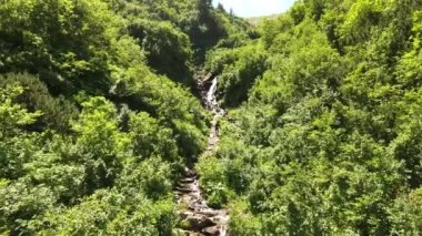 Orman manzarası güzel bir şelale bir dağ nehir Creek ile sonbahar kayın ormanı Karpatlar, Ukrayna, Europe basamaklandırır