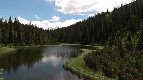 Hermoso lago de montaña Maricheika en los Cárpatos ucranianos. Día soleado de verano. La naturaleza ucraniana de los lugares hermosos del país. Zona tampón . — Vídeo de stock