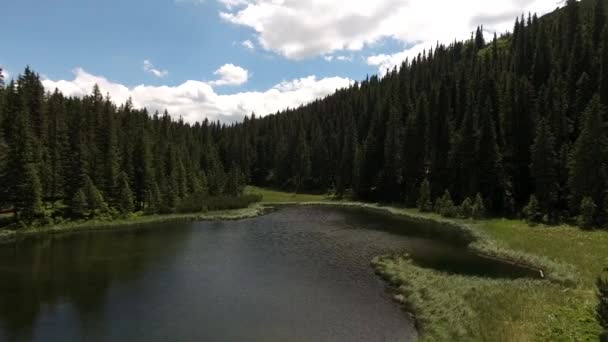 Belo lago de montanha Maricheika nos Cárpatos ucranianos. Dia ensolarado de verão. Natureza ucraniana dos belos lugares do país. Zona tampão . — Vídeo de Stock